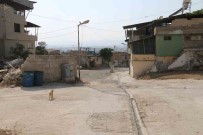 Yasli Kadinin Etrafini Saran Sokak Köpeklerinden Tedirgin Oldugu Anlar Kamerada Haberi