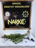 Bingöl'de Uyusturucu Madde Ve Silah Ele Geçirildi Haberi