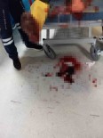 Domuzlarin Saldirisina Ugrayan Vatandas Yaralandi Haberi