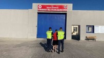 Kasten Yaralama Suçundan Aranan Sahsi Jandarma Yakaladi Haberi