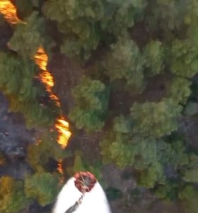 Manisa'daki Orman Yanginina Müdahale Devam Ediyor