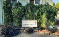 Simav'da Uyusturucu Operasyonu Açiklamasi 4 Süpheli Gözaltina Alindi Haberi