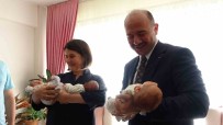 Üçüz Bebek Sahibi Aileye Vali Serdengeçti Ve Esinden Süpriz Ziyaret