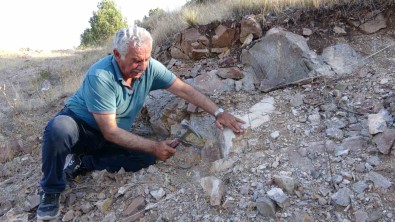 Yozgat'ta Yer Altindan Çikan Zenginlik