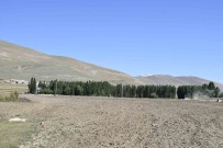 82 Dekar Mera Alaninda Tohum Ekimi Yapilarak Suni Mera Olusturuldu