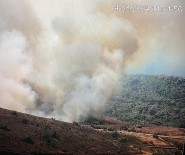 Bozcaada'da Ziraat Alaninda Yangin