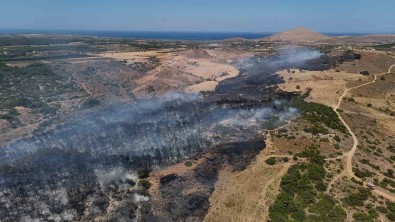 Bozcaada'daki Orman Yangini Kontrol Altina Alindi