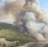 Gördes'teki Orman Yanginina Müdahale Sürüyor