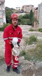 Kafasini Bidona Sikistiran Yaramaz Köpegin Yardimina Itfaiye Yetisti Haberi