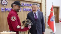 Narkotik Köpegi Eris'e Duygu Yüklü Veda Paylasimi Haberi
