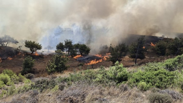 Bozcaada’da yangın: Tüm hava araçları bölgeye yönlendirildi
