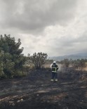 Arsuz'da Otluk Alan Yangini Haberi