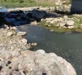 Atik Suyunu Dereye Desarj Eden Patates Fabrikasina Ceza Haberi