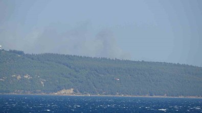 Çanakkale'de Orman Yangini