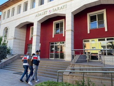 Jandarmadan Terör Örgütü PKK'ya Operasyon