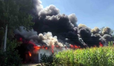 Sakarya'da Korkutan Yangin Açiklamasi Ahsap Atölyesi Alev Topuna Döndü