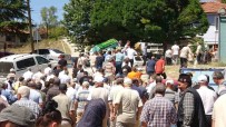 Sokak Hayvanlarina Mama Götürürken Vefat Eden Aysun Köse Son Yolculuguna Ugurlandi Haberi
