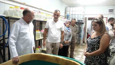 Sülük Tedavisi Egitimine Yurt Disindan Yogun Ilgi