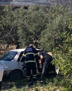 Zeytinlige Uçan Otomobildeki 2 Kisi Yaralandi