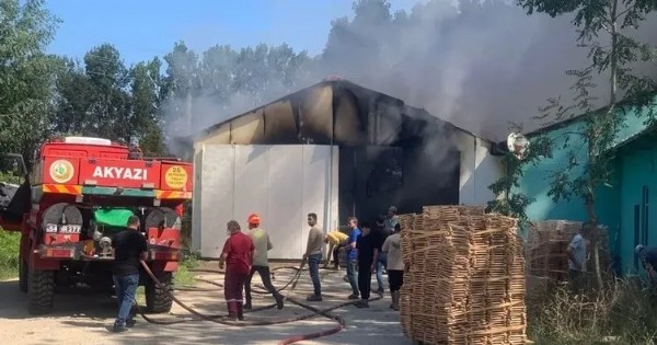 Sakarya'da yangın! Ahşap atolyesi alev aldı