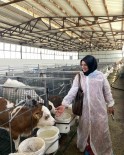 Ardahanli Süt Üreticisi Kadinlar Afyonkarahisar'i Ziyaret Etti Haberi