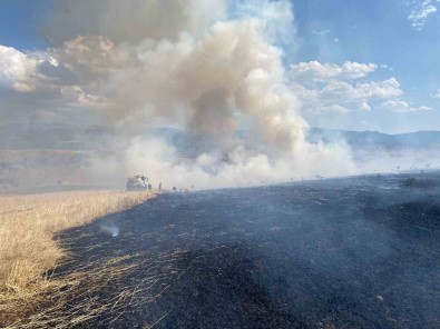 Bingöl'de Çikan Orman Yangini Evlere Siçramadan Söndürüldü