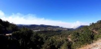 Bolu'da Orman Yangini 21'Nci Saatinde Açiklamasi Sabahin Ilk Isiklariyla Havadan Müdahale Basladi Haberi