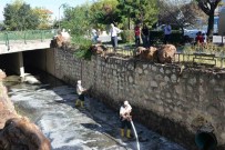Bozüyük'te Açik Kanal Temizligi Haberi