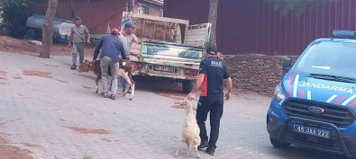 Gördes'te Baslayan Yangin Salihli'ye Ulasti