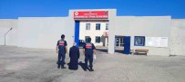 Hirsizlik Suçundan Aranan Sahsi Jandarma Yakaladi Haberi