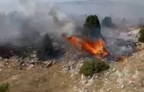 Kütahya'da Orman Yangini Açiklamasi 10 Dekar Alan Zarar Gördü Haberi