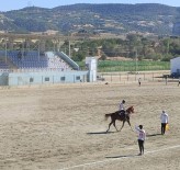 Selendi'de Atli Ciritte Yari Final Heyecani Basladi