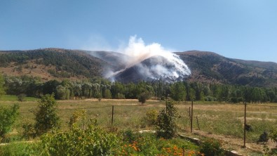 Sivas'ta Ormanlik Alanda Yangin Çikti