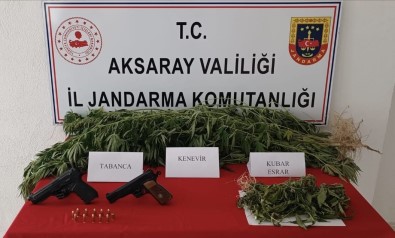 Yasa Disi Kenevir Üretimine Jandarma Darbesi