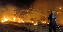Asi Nehri Kenarinda Çikan Yangin Söndürüldü Haberi
