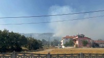 Bolu'da 12 Farkli Noktadaki Yangin 3'E Indirildi Haberi
