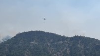 Bolu'daki Orman Yangini 3'Ncü Gününde Haberi