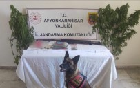 Evinin Bahçesine Kenevir Eken Sahsi Jandarmadan Operasyon Haberi