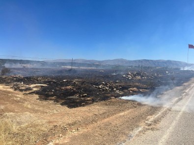 Isparta'da Çikan Aniz Yangini Büyümeden Söndürüldü