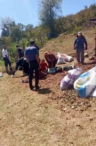 Mevsimlik Tarim Isçilerini Tasiyan Traktör Devrildi Açiklamasi 13 Yarali