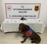 3 Bin 200 Içimlik Peceteye Emdirilmis Uyusturucu Ele Geçirildi Haberi