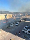 Ayvacik'ta Otluk Alanda Çikan Yangin Korkuttu Haberi