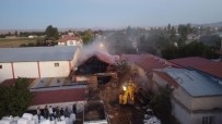 Besihanede Çikan Yanginda 5 Büyük Hayvan Telef Oldu Haberi