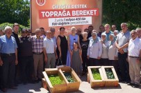 Bilecik'te Son 3 Yilda 1 Milyon 400 Bin Fide Dagitimi Yapildi Haberi
