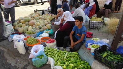 Gercüs'te Organik Ürünlerdeki Bereket Fiyatlari Düsürdü