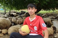 IHA'nin Haberinden Sonra Tanindi Açiklamasi Çobanliktan Sahalara Haberi