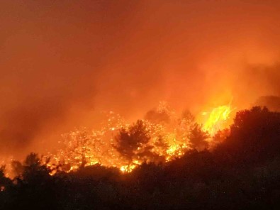 Manisa'daki Orman Yangini 80'Inci Saatinde
