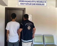 Bilecik'te Düzensiz Göçmen Operasyonu Haberi
