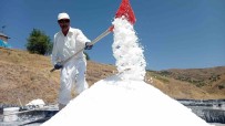Bu Tuzun Içinde Insan Sagligina Yararli 84 Mineral Bulunuyor Haberi