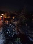 Bursa'da Korkutan Orman Yangini